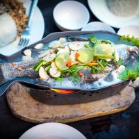 fish-2105233_1280